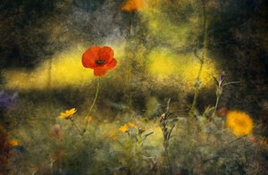  - Jan van der Linden