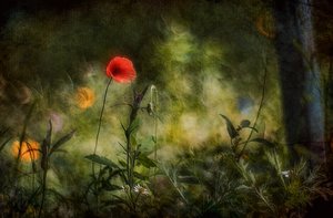  - Jan van der Linden