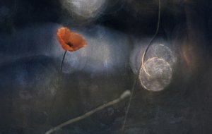  - Jan van der Linden