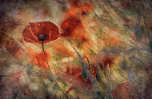  - Jan van der Linden