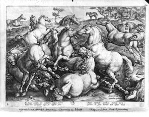 Chevaux dans la nature