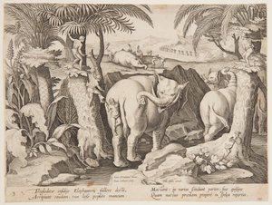 Hommes des cavernes chassant des éléphants, planche 3 de la série Venationes Ferarum, Avium, Piscium