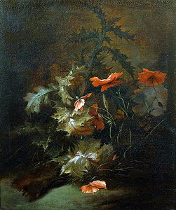 Chardons et coquelicots