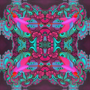 Motif d