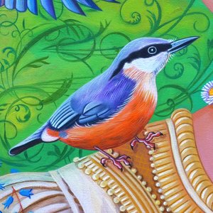 Sittelle - Jane Tattersfield
