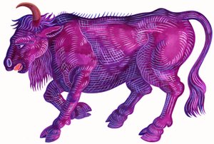 Taureau enragé - Jane Tattersfield