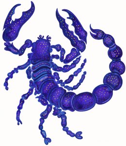 Scorpion - Jane Tattersfield