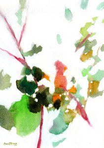  - Janel Bragg
