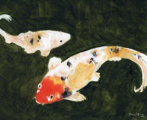 Poissons Koi au Conservatoire des Fleurs à San Francisco, c. 2024