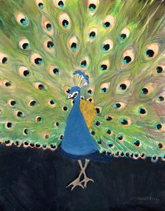 Paon au zoo de Woodland Park, vers 2024 (technique mixte sur papier) - Janel Bragg