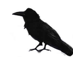 Corbeau à Baker Beach, vers 2023 (technique mixte sur papier) - Janel Bragg