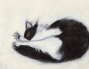 Thomas faisant une sieste, c.2018