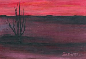  - Janine Brewster