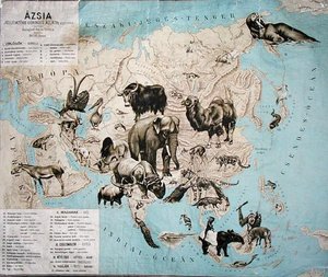 Carte des animaux en Asie et en Extrême-Orient