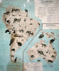 Carte des animaux en Amérique du Sud et en Australie