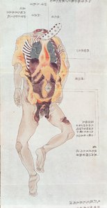 Un corps éventré de la dissection d