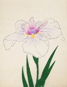 Akashi-no.-Ul, no.10, 1898