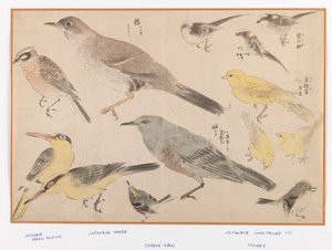 Oiseaux dans le style Okyo