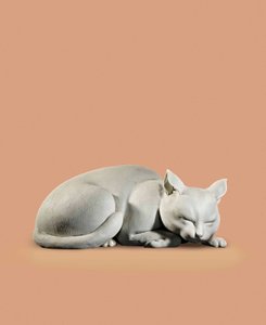 Chat, fin de la période Edo-début de la période Meiji
