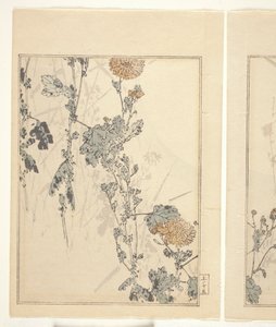 Chrysanthèmes - Japanese School