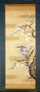 Faucon sur une branche de cerisier japonais en fleurs. Peinture sur soie du 18ème siècle du Japon. Gênes. Museo Chiossone