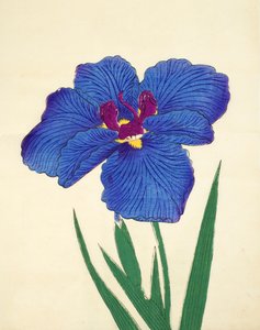 Gosetsu-no.-Mai, no.9, 1898 - Japanese School