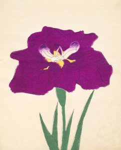 Hizume-no.-Hyoshi, no.29, 1898 - Japanese School
