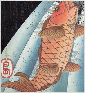 Carpe Koi; pub. c. 1820
