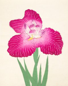 Kyo-Kano.ko, no.24, 1898 - Japanese School