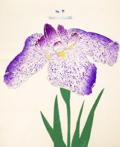 Nanakomachi, no.21, 1898 - Japanese School