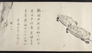 Deux tortues, de Yoshida Seisai (rouleau) - Japanese School