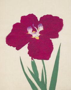 Tai-Hei-Raku, No. 18, 1890 - Japanese School