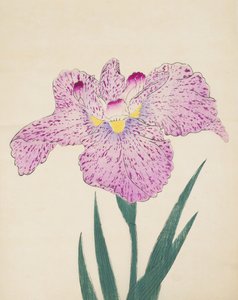 Tanka-No-Koe, No. 15, 1890 - Japanese School