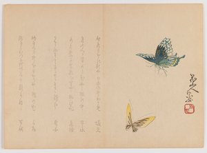 Deux papillons, vers 1860