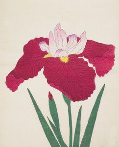 Yamamatayama, No. 83, 1890 - Japanese School