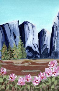 Sommets majestueux et fleurs épanouies