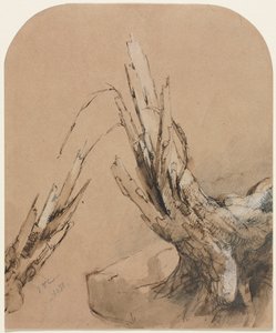 Un Arbre Foudroyé, 1851 - Jasper Francis Cropsey