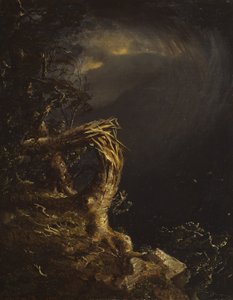 Arbre Foudroyé