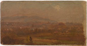 Sans titre, vers 1875-1880