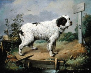 Un Terre-Neuve sur un talus - Jean Baptiste Desgrange