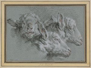 Trois têtes de mouton, éveillées et endormies - Jean-Baptiste Huet