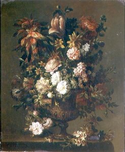 Tulipes, narcisses et autres fleurs