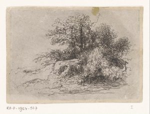 Buisson