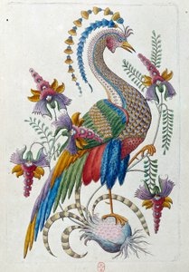 Oiseau fantastique
