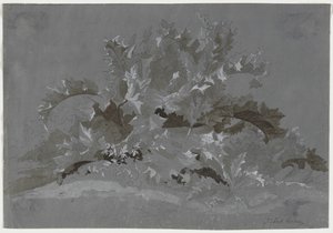Étude de mauvaises herbes