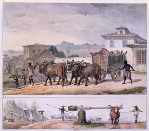 Transport de viande et dressage d