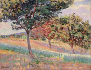 Verger à St. Cheron, 1893
