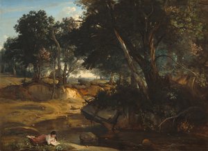 Forêt de Fontainebleau - Jean Baptiste Camille Corot