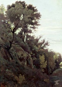 Marino - Arbres et rochers