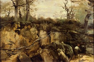 Le bord de la forêt de Fontainebleau